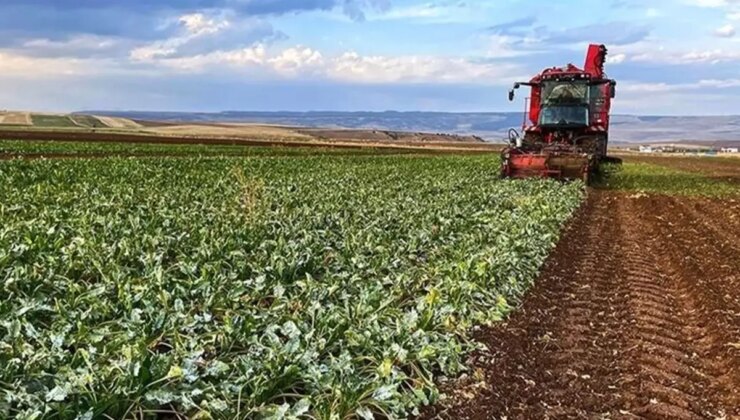 Artık 81 ilde birden zorunlu! Bunu yapmayan devletten destek alamayacak