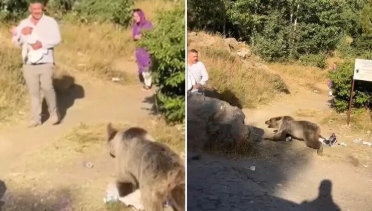 Görüntü Türkiye’den! Elinde bebeğiyle ayı saldırısına uğradı