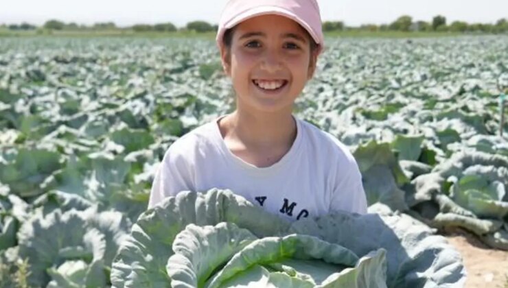 Kilosu 10 liradan satılıyor, hepsi 100 yıllık ata tohumu