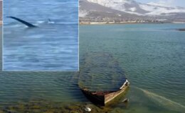 "Van Gölü canavarı" tartışmalarını alevlendirecek yeni görüntü