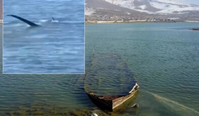 "Van Gölü canavarı" tartışmalarını alevlendirecek yeni görüntü