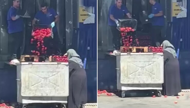 Zincir market kasalar dolusu domatesi çöpe döktü