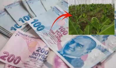 2019’da çektiği kredi ile hayatı değişti: Aylık 640 bin TL kazanıyorum