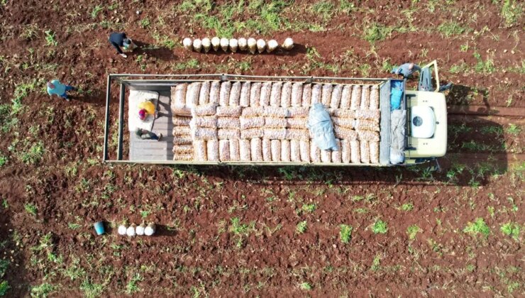 Ağustos enflasyonu belli oldu, fiyatı en çok ucuzlayan ürün mutfakların gözdesi