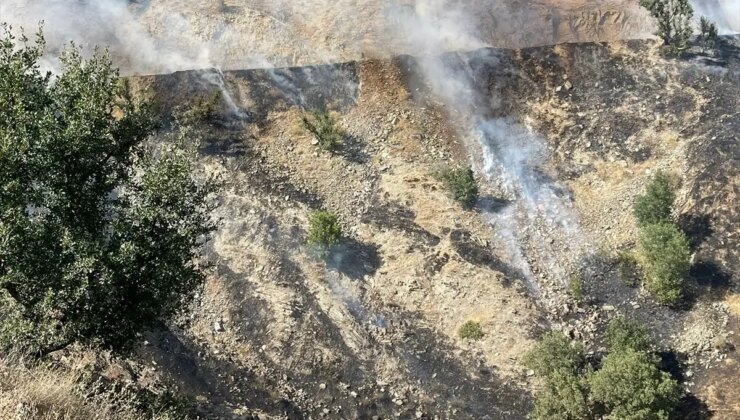 Bitlis’te Anız Yangını Söndürüldü