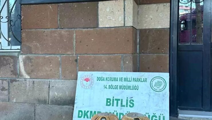 Bitlis’te Kaçak Keklik Avına 101 Bin Lira Ceza
