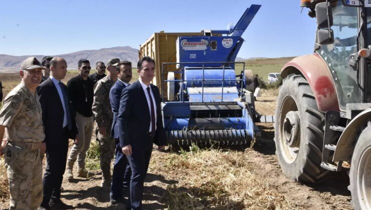 Bitlis’te Kuru Fasulye Hasadı Başladı