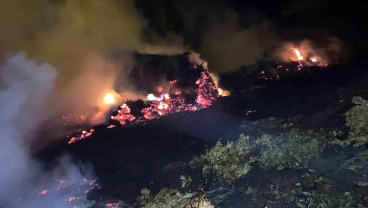 Bitlis’te Ot Yangını Kısa Süreli Paniğe Neden Oldu