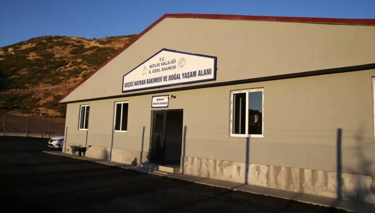 Bitlis’te Sokak Hayvanları için Geçici Bakımevi Açıldı