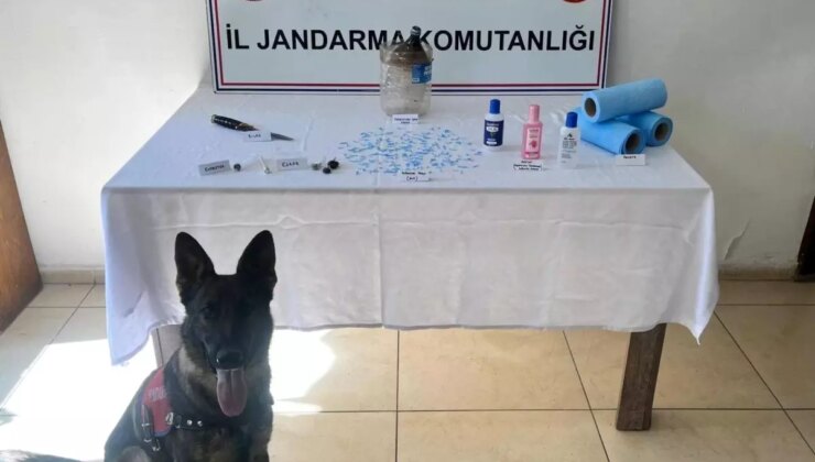 Bitlis’te Uyuşturucu Operasyonu: 250 Peçeteye Emdirilmiş Amfetamin Ele Geçirildi