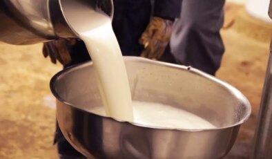 Çiğ süt referans fiyatına yüzde 6,8 zam