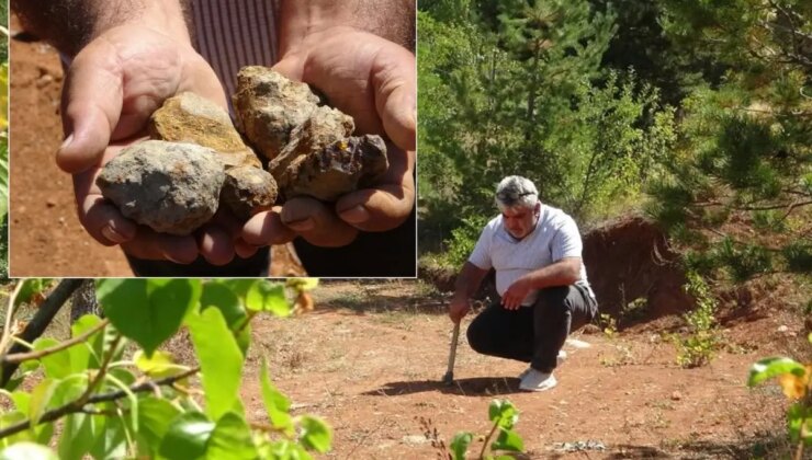 Fiyatı gram altınla yarışıyor: Bir ilimizde vatandaşın yüzünü güldüren taş