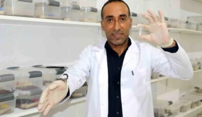 İnşaatçılığı bırakıp bu işe girdi, gramından on binlerce dolar kazanacak