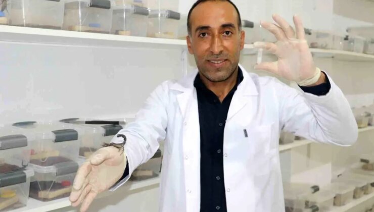 İnşaatçılığı bırakıp bu işe girdi, gramından on binlerce dolar kazanacak