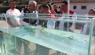 Kilosu bin euro! Bolu’da üretilip dünya pazarına sunulacak