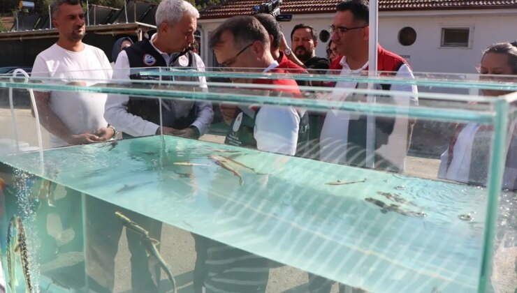Kilosu bin euro! Bolu’da üretilip dünya pazarına sunulacak