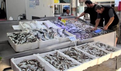 Palamutun yerini mezgit ve barbun aldı, balık fiyatları cep yaktı