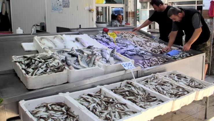 Palamutun yerini mezgit ve barbun aldı, balık fiyatları cep yaktı