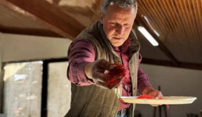 AB tescilli üründe hasat sürüyor, gramı 600 TL’ye dayandı