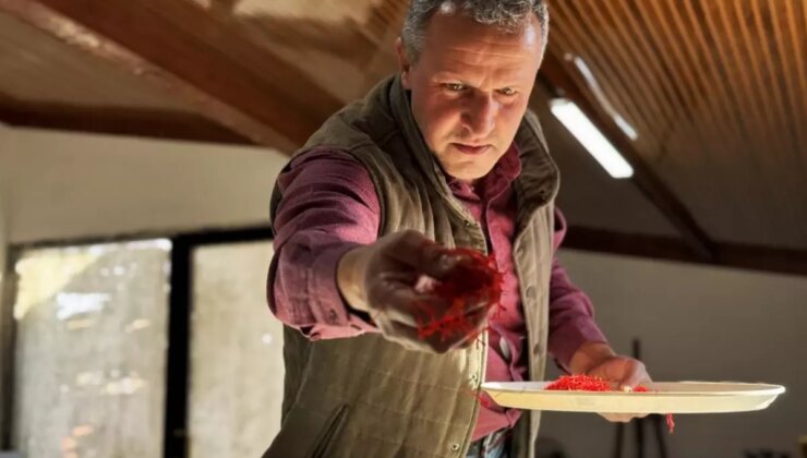 AB tescilli üründe hasat sürüyor, gramı 600 TL’ye dayandı