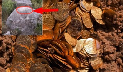 Define avcıları her taşın altını kazıyor: İşte Türkiye’de "Altın başkenti" olan ilimiz