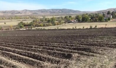 Dünyanın en pahalısı! 1 gramı 500 TL’ye satılıyor