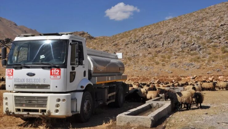 Hizan’da Kuraklık Nedeniyle Hayvanlara Su Taşınıyor