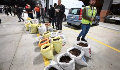 Kilosu 400 liraya satışa çıktı! Herkes bu lezzetin peşinde