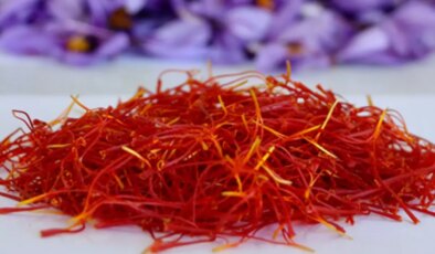 1 kilosuna araba alınıyor! Hasat çiftçiyi ihya etti