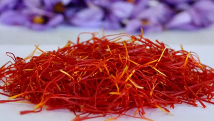 1 kilosuna araba alınıyor! Hasat çiftçiyi ihya etti