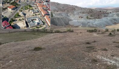 Bir ketimizin kaderini değiştirecek keşif: Değerine paha biçilemiyor