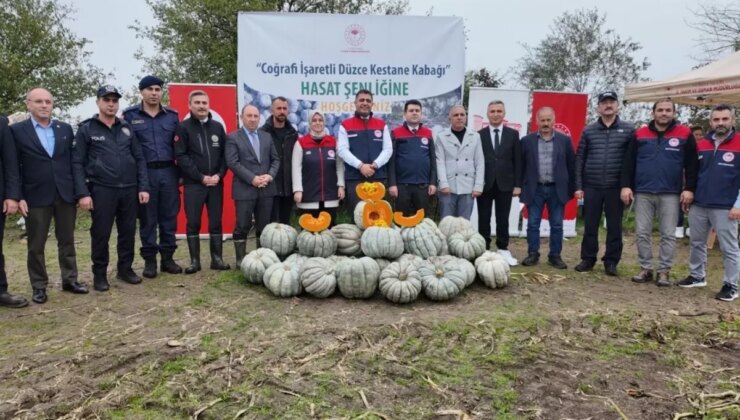 Düzce’de Kestane Kabağı hasadı başladı: 10 bin tonun üzerinde rekolte bekleniyor