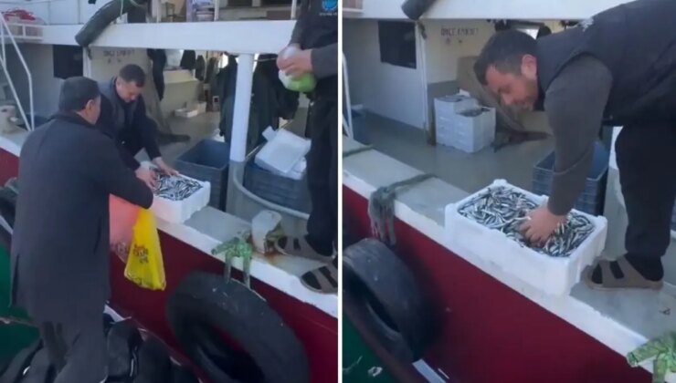 Kasalar dolusu balığı bedava dağıttılar! Nedeni de bir o kadar ilginç