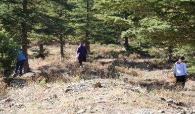 Kilosu etle yarışıyor! Japonların gözdesi "beyaz altın"da hasat başladı