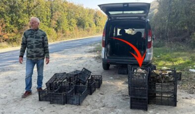 Saatlerce gezip 3 adet bulabiliyorlar! Kiloyla değil gramla satılıyor