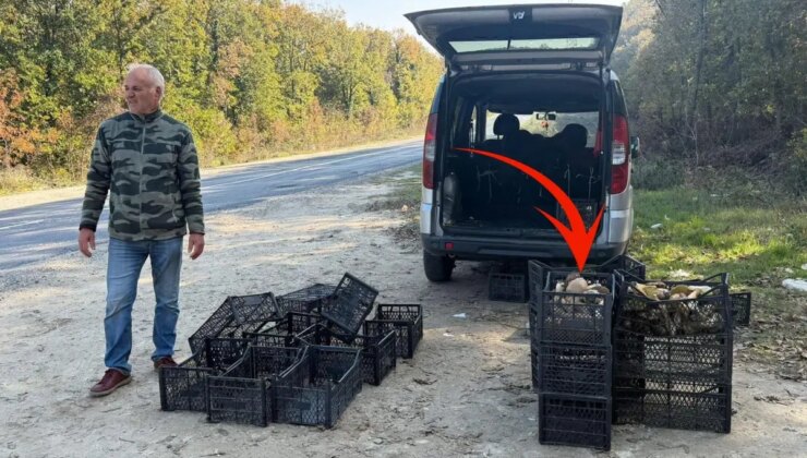 Saatlerce gezip 3 adet bulabiliyorlar! Kiloyla değil gramla satılıyor