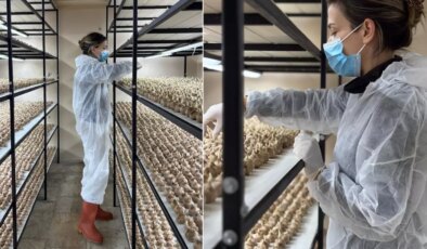 100 bin lira maaşlı işi bırakıp sektör değiştirdi! Kilosunu 700 bin liraya satıyor