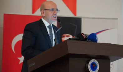 Bakan Şimşek: Terörsüz Türkiye’de GAP ve DAP bölgeleri uçuşa geçecek