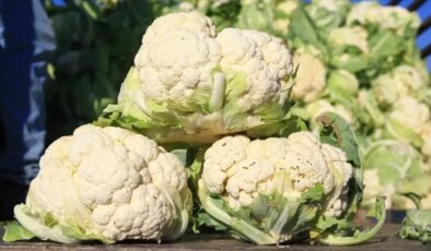 Bilet fiyatları artarken, karnabahar dibi gördü!