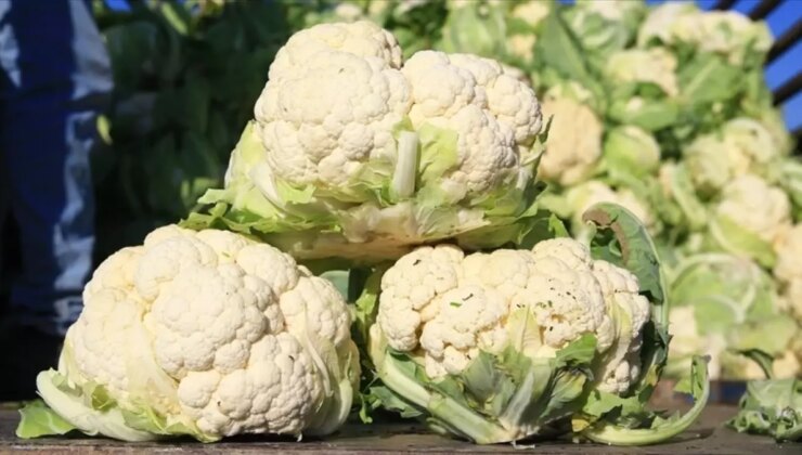 Bilet fiyatları artarken, karnabahar dibi gördü!