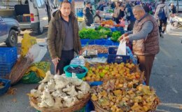 Bin 800 rakımlı yayladan toplayıp getiriyor, gören almadan geçmiyor