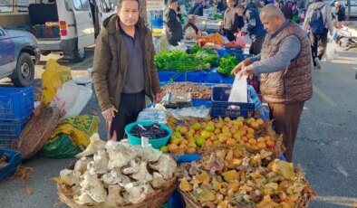 Bin 800 rakımlı yayladan toplayıp getiriyor, gören almadan geçmiyor