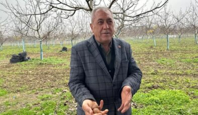 Bir köyü zengin eden ürün! Doktorlar, iş insanları buraya akın ediyor