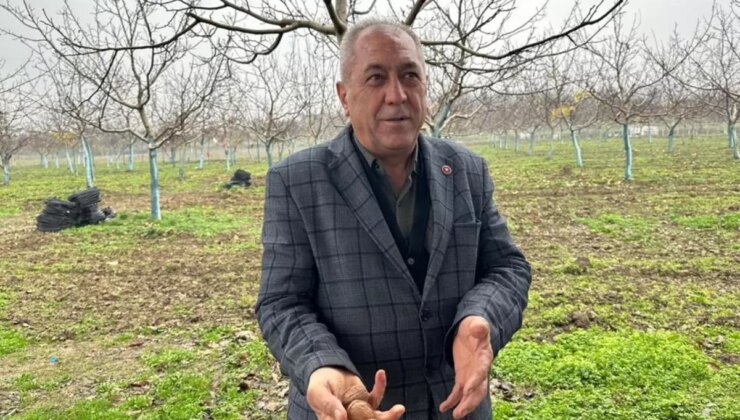 Bir köyü zengin eden ürün! Doktorlar, iş insanları buraya akın ediyor