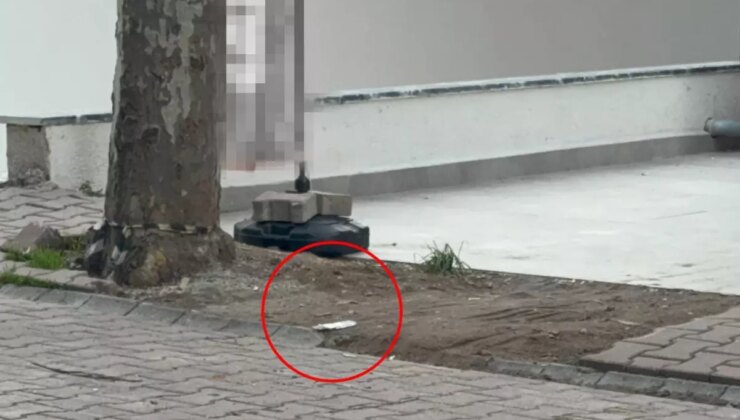 Çöpe atmak için yerden aldığı kargo poşetinin içinden 60 bin dolar çıktı