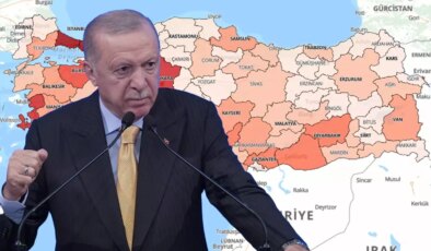 Cumhurbaşkanı Erdoğan "Felaketi yaşıyoruz" demişti! TÜİK endişelendiren rakamları paylaştı