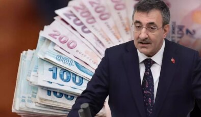 Cumhurbaşkanı Yardımcısı Yılmaz "vatandaşlık maaşı" için tarih verdi