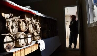 Evinin en güzel odasını tahsis etti! Kilosunu 10 bin TL’den satıyor