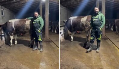 Hayvanıyla video çekip asgari ücretle ilgili yaptığı kıyasa tepki var