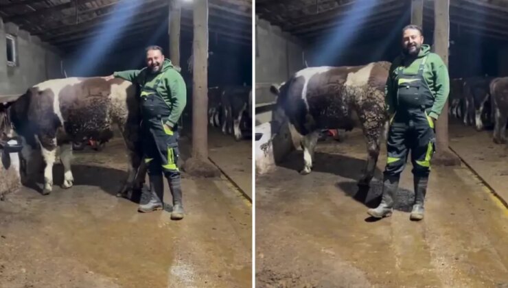 Hayvanıyla video çekip asgari ücretle ilgili yaptığı kıyasa tepki var